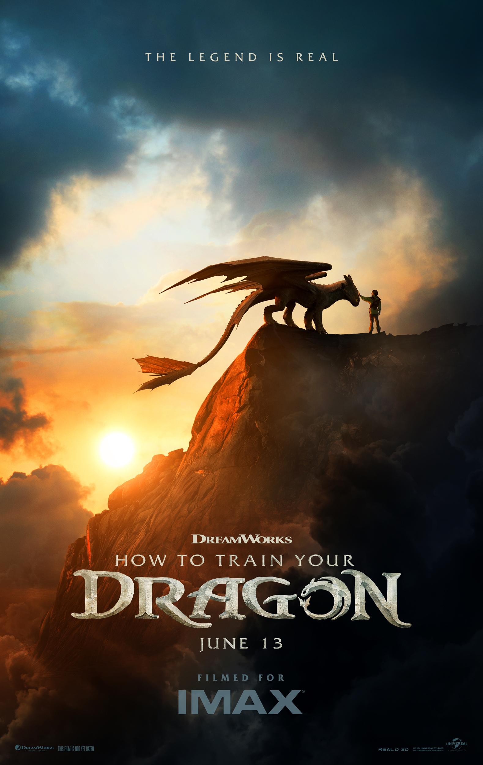 HOW TO TRAIN YOUR DRAGON