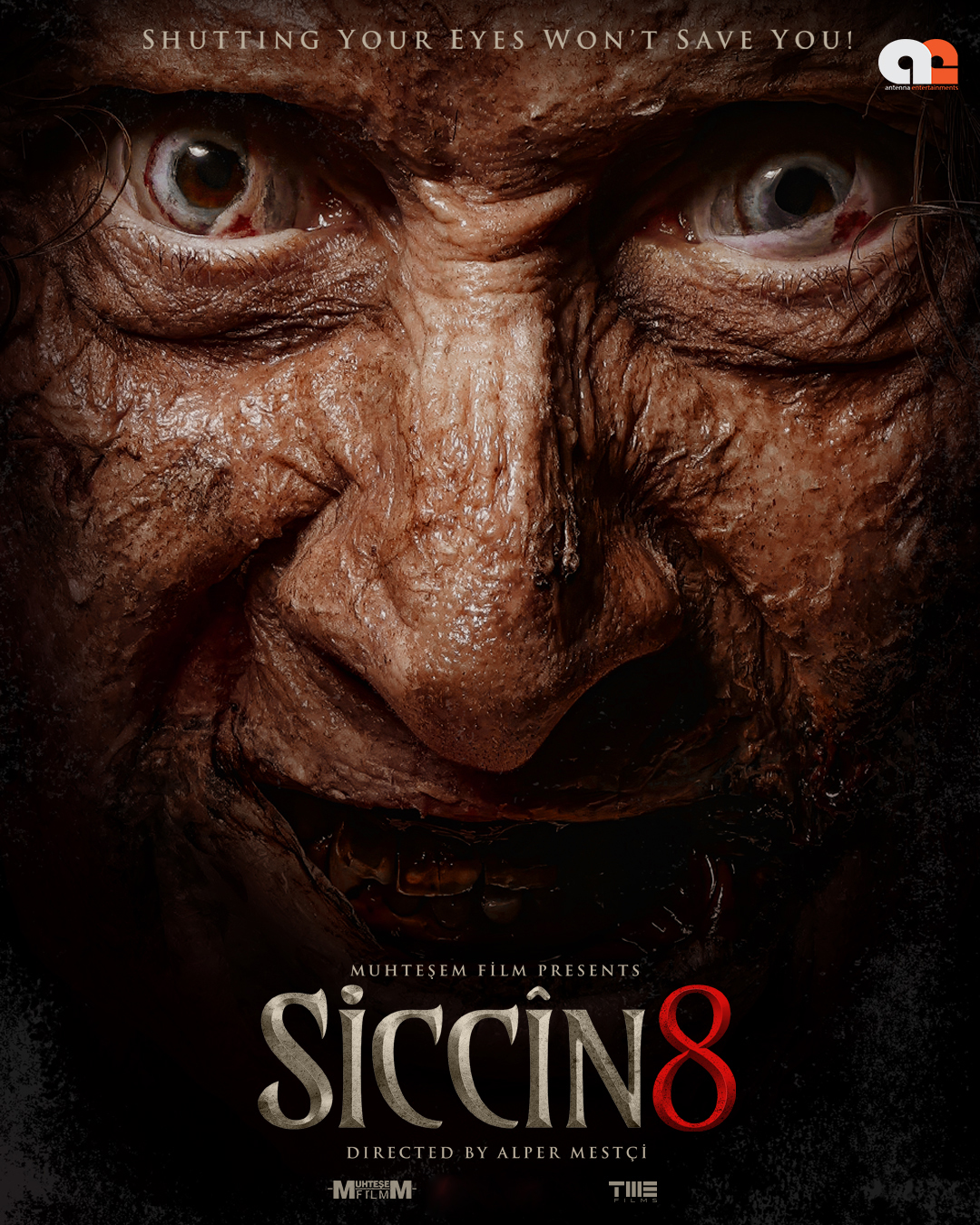 SICCIN 8
